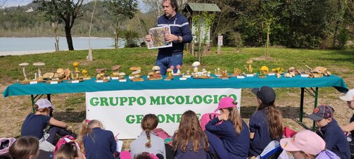 93019f7bd8fa32f73f61fb9794c1b45572e6248d