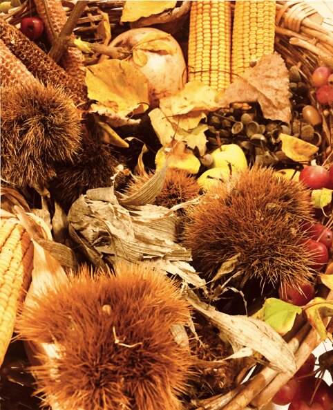 Festa d'Autunno e Festa dei nonni