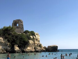 1640cd551040f0e3cef9dd8ce2b18875c8248617