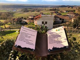 401c6f39e9a67bc2efe4d647a6ab247c1b12b1c5