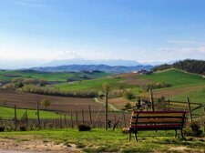 8b19c5899ba681a6c9b39ab1458876b254583e40