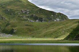 baranca ilaria selvaggio.jpeg