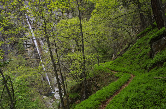 8cf8cb2abd6d8d273e2957141f74e0063ec2b0fc