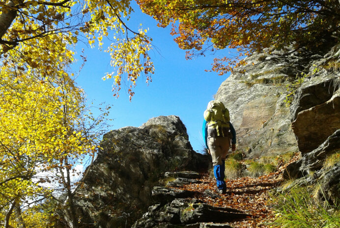 2in cammino alla scoperta del parco (2).jpeg