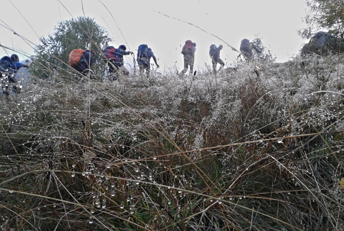 in cammino alla scoperta del parco.jpeg