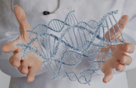 2025-11-06_095818.jpeg 2025-11-06_095818.jpeg