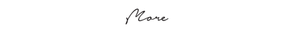 more - logo site