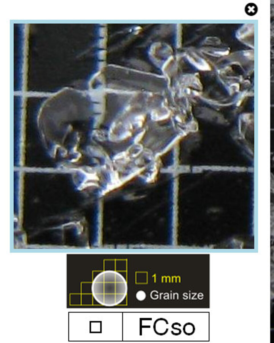 www.snowcrystals.it