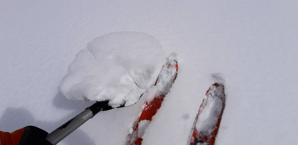 Neve fresca lavorata dal vento (neve feltrosa)