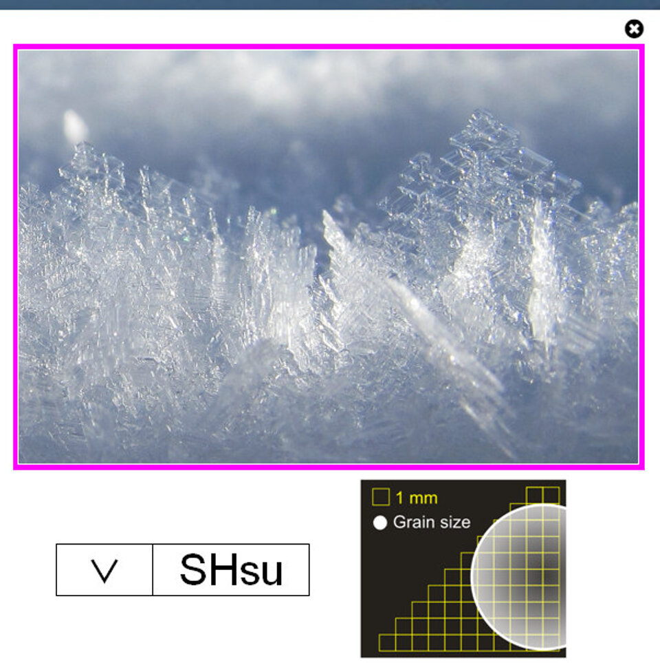www.snowcrystals.it