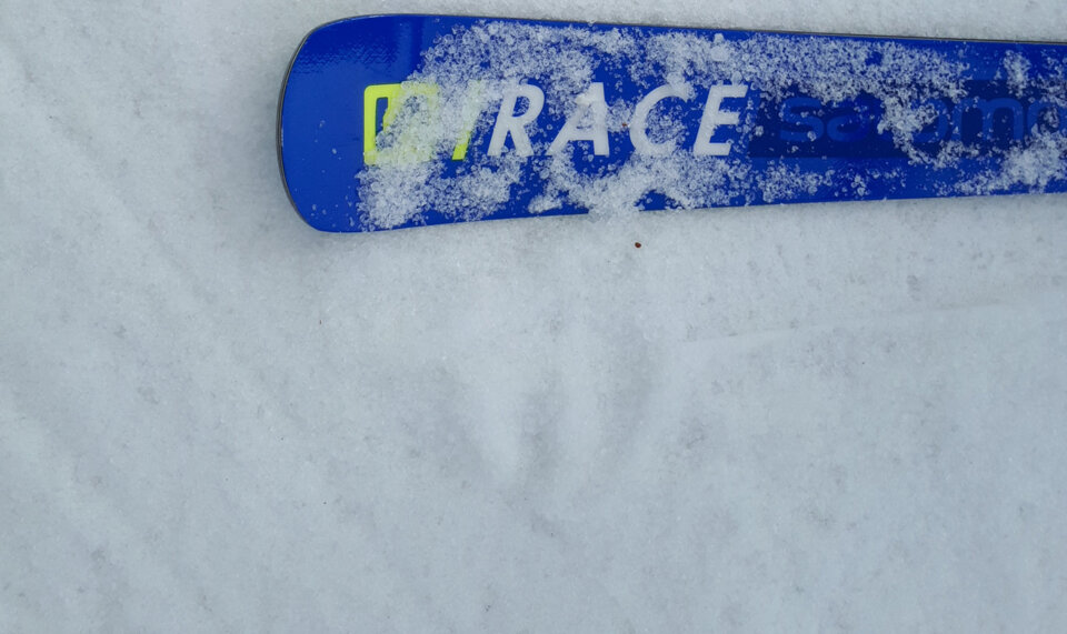 Neve ghiacciata