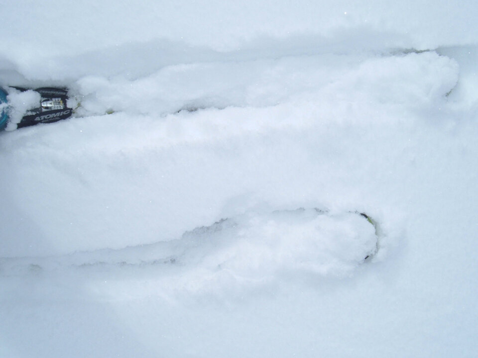 Snow intermediate between new snow and settled snow