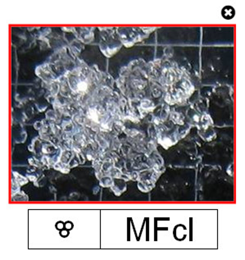 Forme fuse (MF)