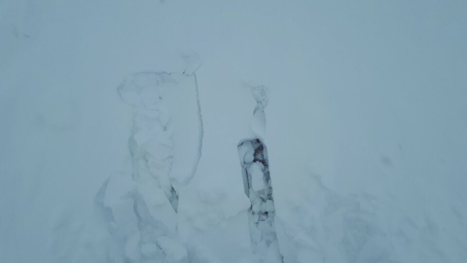 Wind-broken precipitation particles