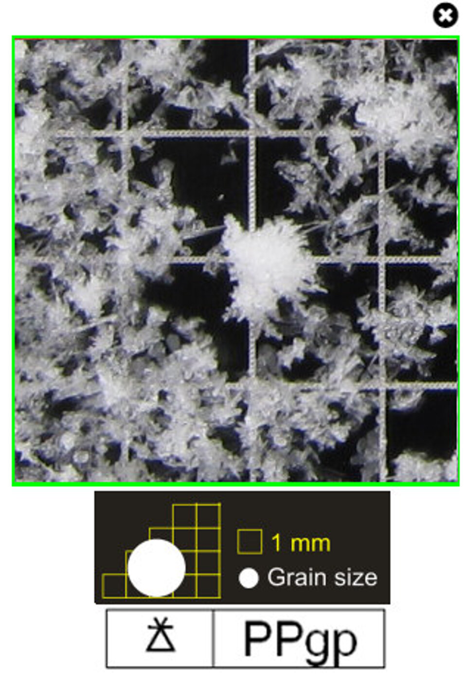 www.snowcrystals.it
