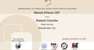 a2-woman.don't.cry-snowy.circuit.2022-salon.cacak-award.jpeg