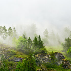 Walking in the Elven kingdom