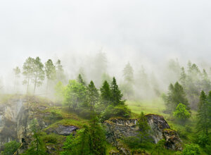 396d34e0d4c8d25ce751f08b8e886247f99e2151