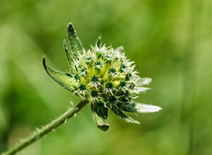 _dsc2990.jpeg