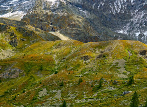 c4d9ca39f787323ff902a47bfe91859cb05d906c