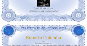 roberto_colombo_-_sm_-_13th_abstracts.jpeg