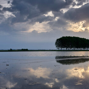Sunrise on the rice paddy of Castellazzo Novarese