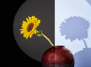 f_dsc5069_5.jpeg