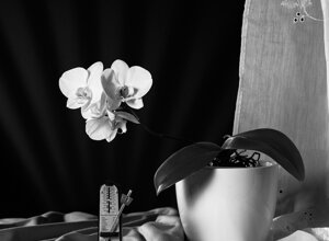 _dsc5059_2_1.jpeg