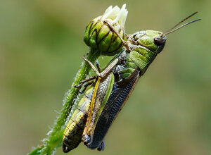 _dsc3417.jpeg