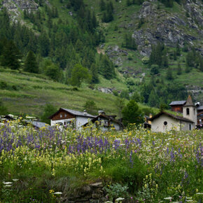 Spring in Ollomont (Ao)