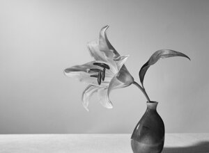 _dsc5084_3.jpeg