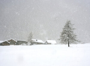 b1aaa10d1ad46cae1df1898de2f0673a85fb68c4