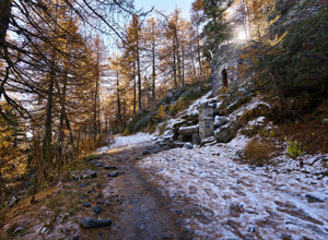 3a82bad20a1cb93346bd8659f4bee0b0b792decb