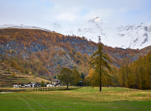 bfc2973a64db785b5d15dd458670900ae5e5676b