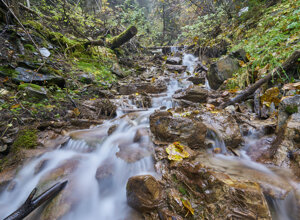 7ca9895b331effe0f2f5cb875543c9aff89957cc