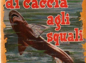 ita9.jpeg