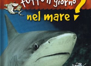 ita25.jpeg