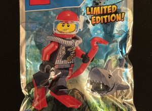 lego10.jpeg