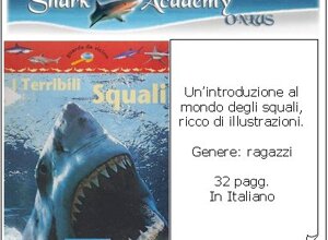 ita3.jpeg