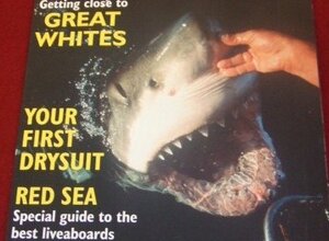 riv170.jpeg