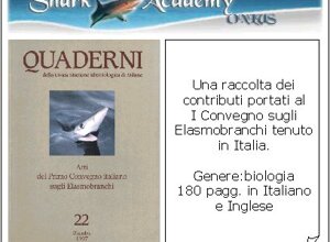 ita66.jpeg