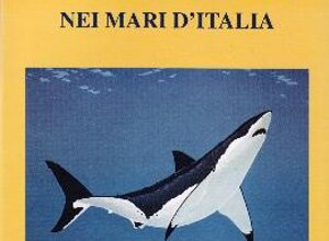 ita51.jpeg