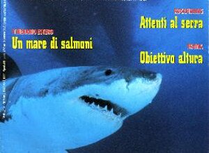 riv97.jpeg