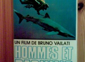film27b.jpeg