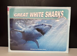 eng69.jpeg