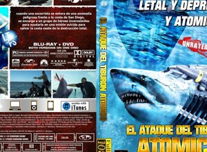 dvd31.jpeg