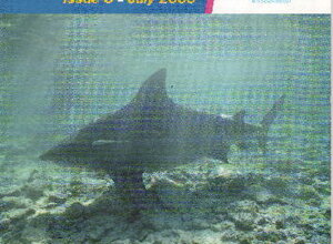 riv11.jpeg