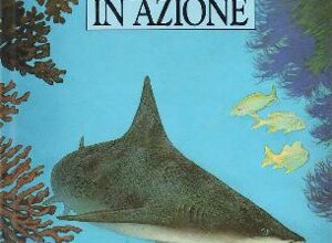 ita17.jpeg