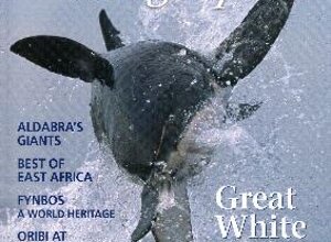 riv16.jpeg