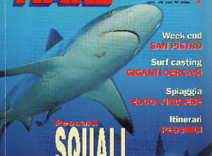 riv33.jpeg